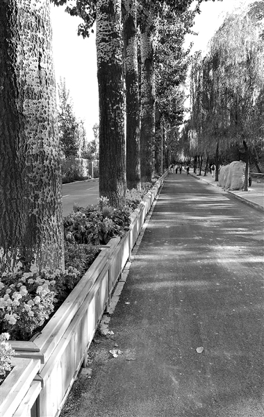 北京一零一中学